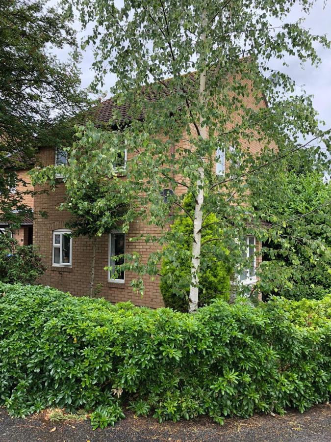 Вилла Rowan Tree Эйлсбери Экстерьер фото